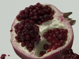 pomegranate 3D Model