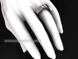 0004modelring 3D Model
