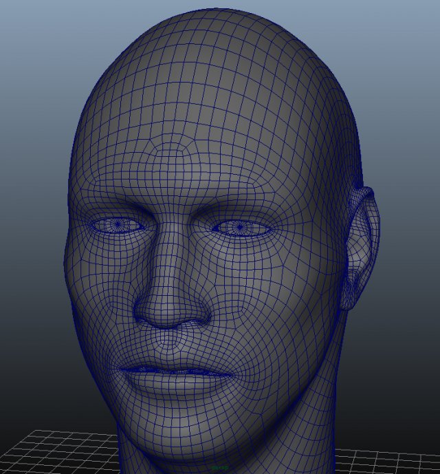 head geometry multiuv 3D Model .c4d .max .obj .3ds .fbx .stl .blend 