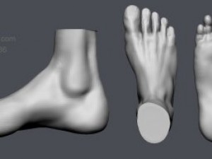 feet study Modello 3D