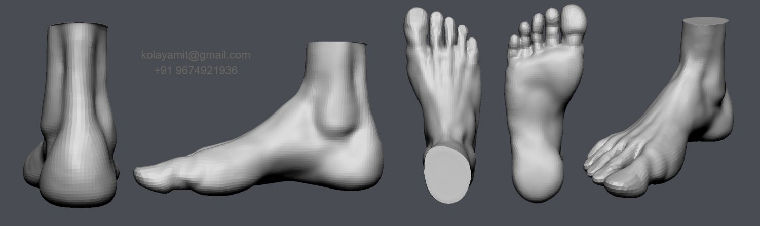 Feet Study 無料 3dモデル In 骨格 3dexport