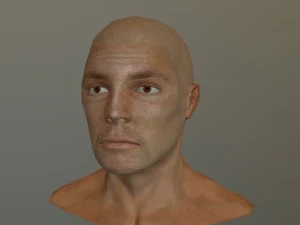 генхед лоуполи 3D Модель