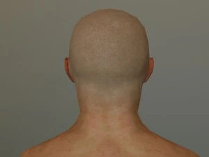 генхед лоуполи 3D Модель