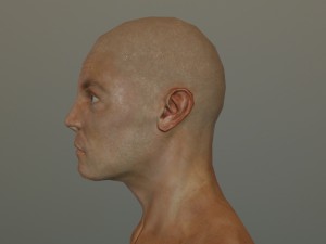 genhead lowpoly Modèle 3D