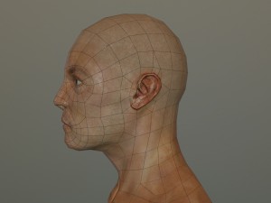 genhead lowpoly Modèle 3D