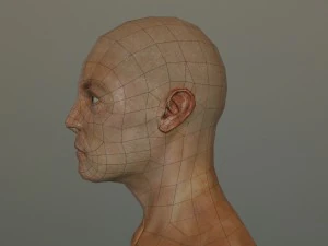 генхед лоуполи 3D Модель