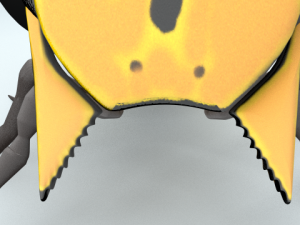 bee Modèle 3D
