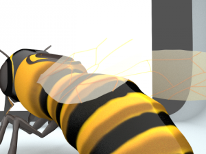 bee Modèle 3D