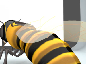bee 3D Model