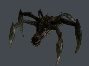 우주 외계인 거미 3D 모델