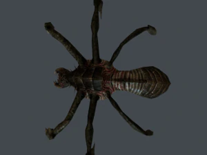 space alien spider 3D Model