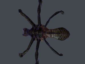 space alien spider 3D Model