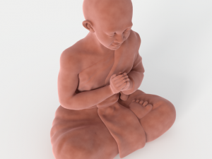 buddha velvet figurine 3D Model