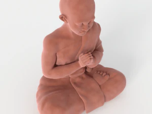 buddha velvet figurine 3D Model