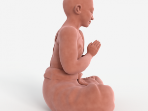 buddha velvet figurine 3D Model