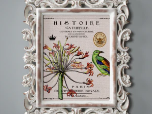 eine Reihe gerahmter Reproduktionen solange 3D Modell