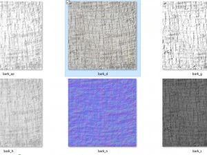 corteza de palma 2048x2048 Texturas CG