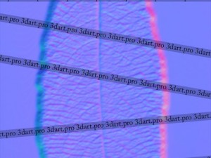 leaf CG Текстури