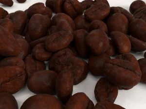 coffee beans 3D Model