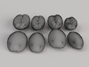 coffee beans Modelo 3D