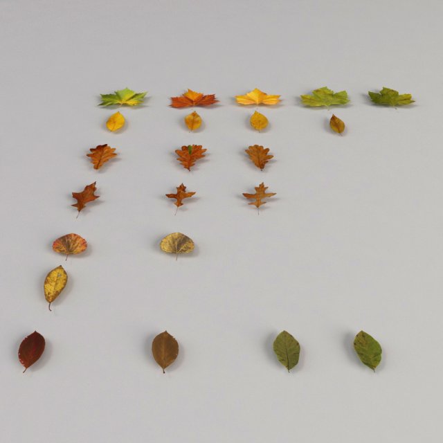 dead autumn leaves 3D 모델 .c4d .max .obj .3ds .fbx .stl .blend