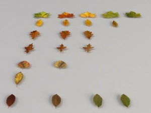 dead autumn leaves 3D Model