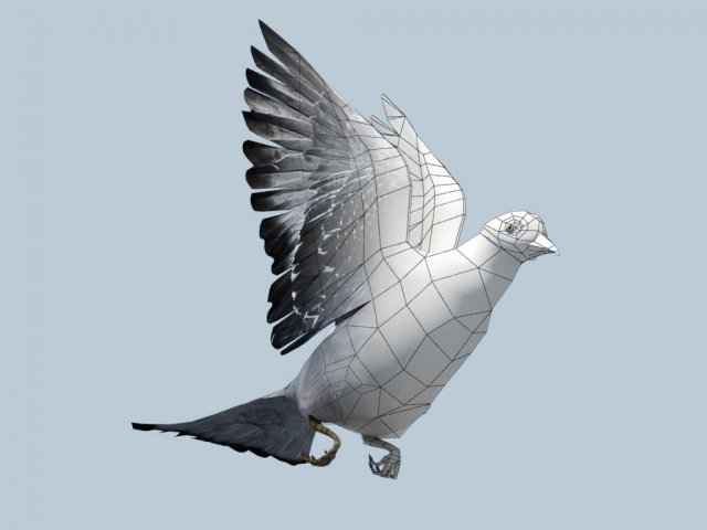 pigeon 3D Model .c4d .max .obj .3ds .fbx .stl .blend 