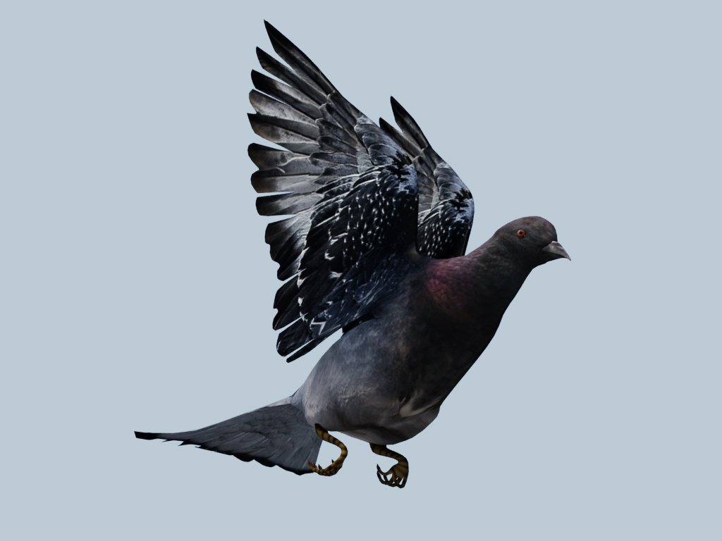 беретта 687 сильвер пижон. пижон 3. мальтийский голубь. Beretta 687 silver pigeon iii 20/76. ружья beretta 687.