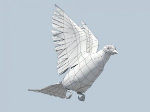pigeon 3D Model