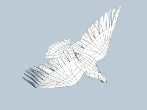 pigeon 3D Model