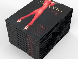 stockings incanto in the package 3D Model