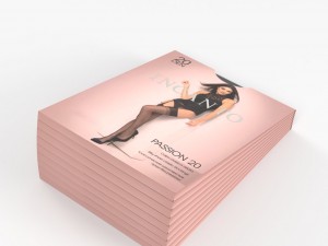 stockings incanto in the package 3D Model