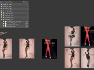 stockings incanto in the package 3D Model