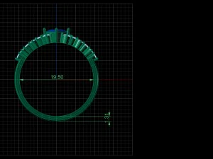 ring model 3D Model