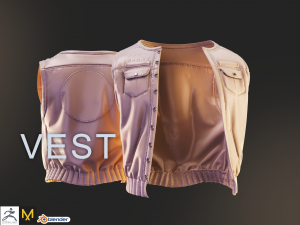 biker vest Modelo 3D
