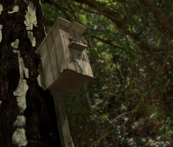 birdhouse Model 3D .c4d .max .obj .3ds .fbx .stl .blend 