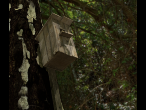 birdhouse 3D Model