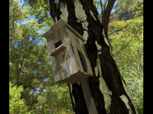 birdhouse Model 3D