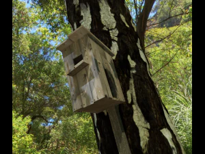 birdhouse 3D Model