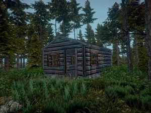 forest cabin 3D Model