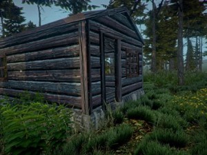 forest cabin 3D Model