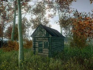 little forest cabin 3D Model