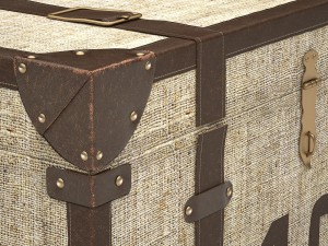 male chest 3Dモデル