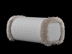 roll diag 3D Model