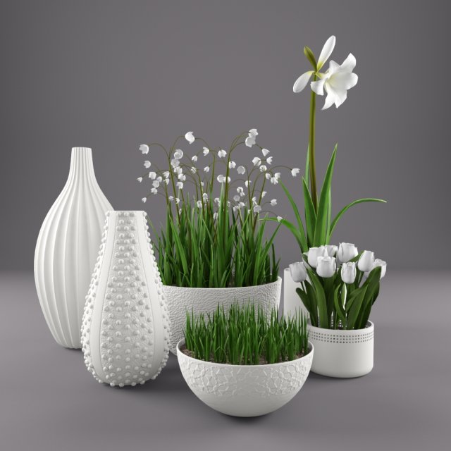 flowers and vases 3D Модель .c4d .max .obj .3ds .fbx .stl .blend 