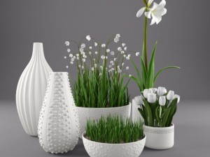 flowers and vases Modelo 3D