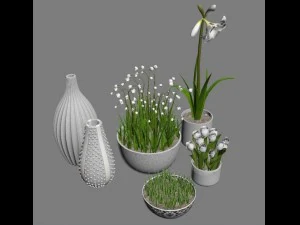 flowers and vases 3D Model