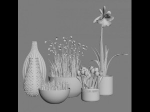 flowers and vases 3D Модель
