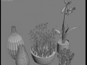 flowers and vases 3D Модель