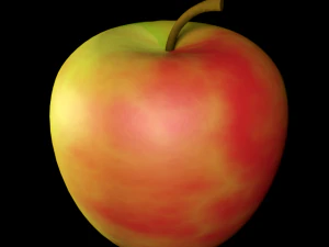 apple 3D Model